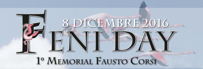 Giornata dedicata al censimento dei fenicotteri, intitolata alla memoria di Fausto Corsi; carissimo amico scomparso prematuramente.