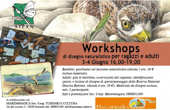 Workshop di Disegno Naturalistico, immersi in un tesoro di biodiversità naturale in Maremma